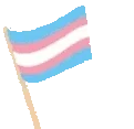 TransWave emote
