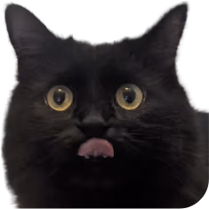 DumfoundedVoid emote