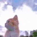 Freedom emote