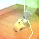 dance