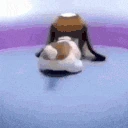 dog_spin emote