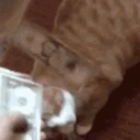 CE_makeitrain emote