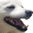 kaka_snowball emote