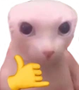 bingusrad emote