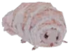 Grub emote