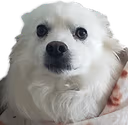 snowball_scared emoji