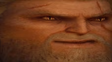 geralt emote