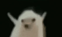 Vibe emote
