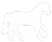 horse_canter emote