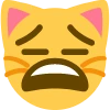 expressionlessbutalsowearycat emote