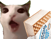kostka animated emote