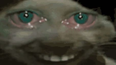 ssd emote