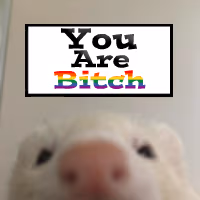 rat_youarebitch emote