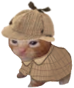 robertHolmes emote