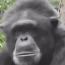monkeJam emoji