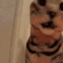 YoConfundido animated emote