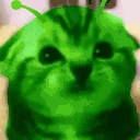 glore emote