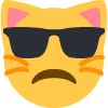 disapproving_cool_kitty emote