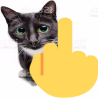 middlefingercat emote