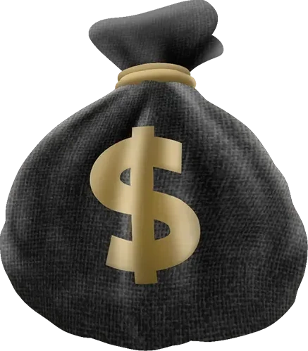 Black_Money_Bag emote