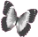 whitebutterfly emote