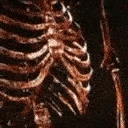 skull emote