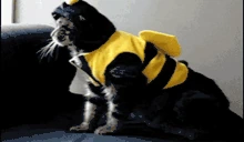 bee emote