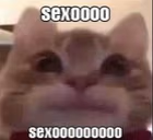 sexo emote