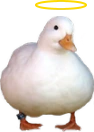 HolyDuck emoji