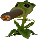 ZAZA emote
