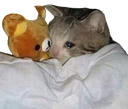 CE_Sleepcat2 emote