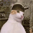 Waaar emote