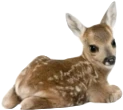 Deer emoji