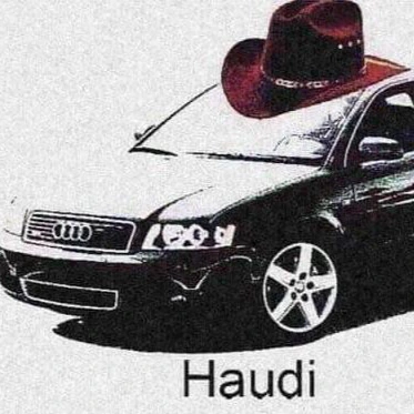 Haudi emote