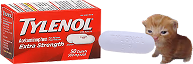 tylenolbert emote