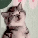 eep emote