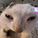ruh emote