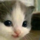Hehe emote