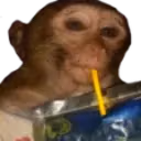 monkeySip emote
