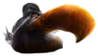 UltraRealisticMightyEagle emote
