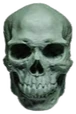 skull emote