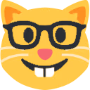 nerdCat emote