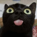 bleh emote