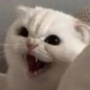 CE_Anger emote