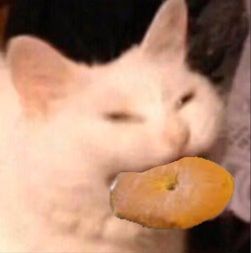 bagelcat emote
