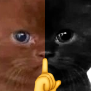 hiddenvwr avatar