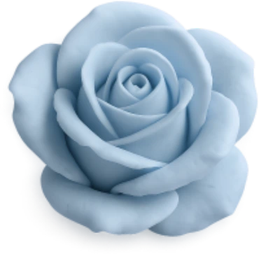 dustybluerose emote