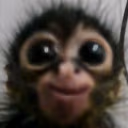 0Smile emote