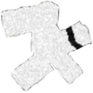fixed emote
