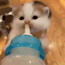 sosu emote